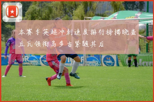 本赛季英超冲刺速度排行榜揭晓查丘瓦领衔乌多吉紧随其后